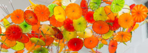 ArtPrize Showing: "Bloom" @ Mary Free Bed Rehabilitation Hospital | Grand Rapids | Michigan | United States
