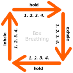 box breathing - Yoga and Meditation