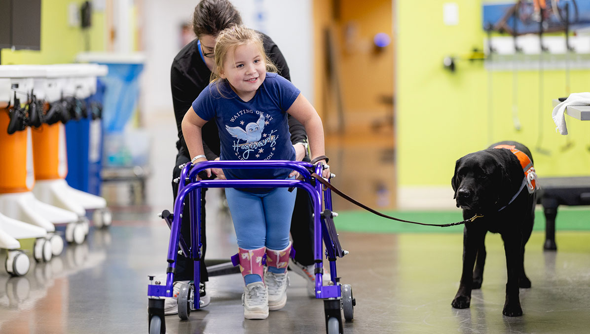 Child using assistive walker being help by clinician support dog on leash to their right