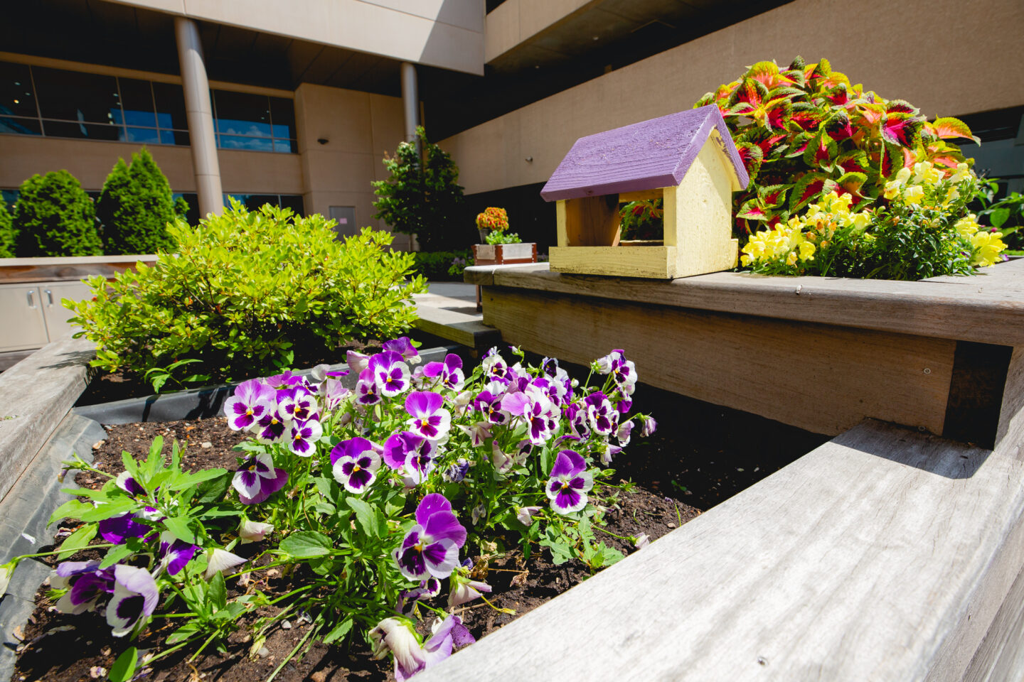 building_and_landscape_west_addition_therapy_garden_summer_2020-9099-1440x960