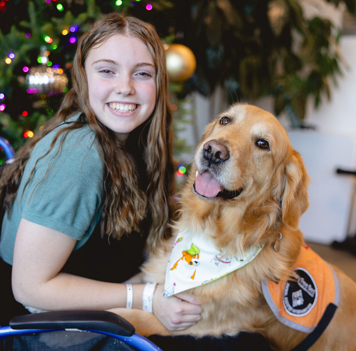 Smiling teenage girl in a wheelchair embraces a therapy golden retriever wearing an orange vest near a decorated Christmas tree