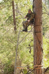 treestand-safety1