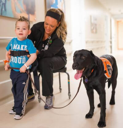 pet rehabilitates