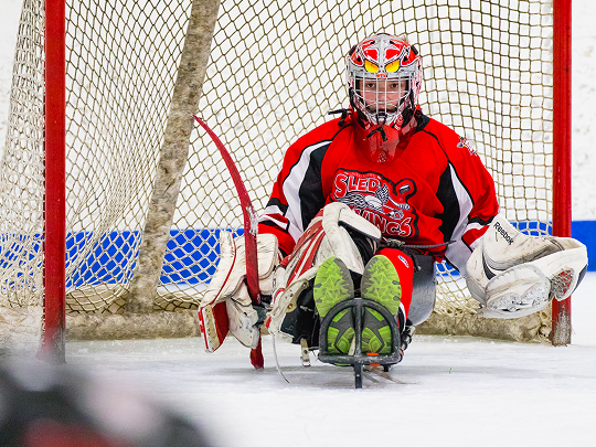 sled hockey