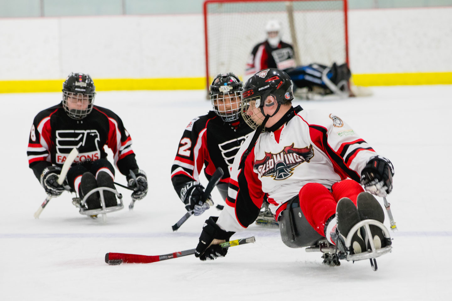 Grand Rapids Sled Wings