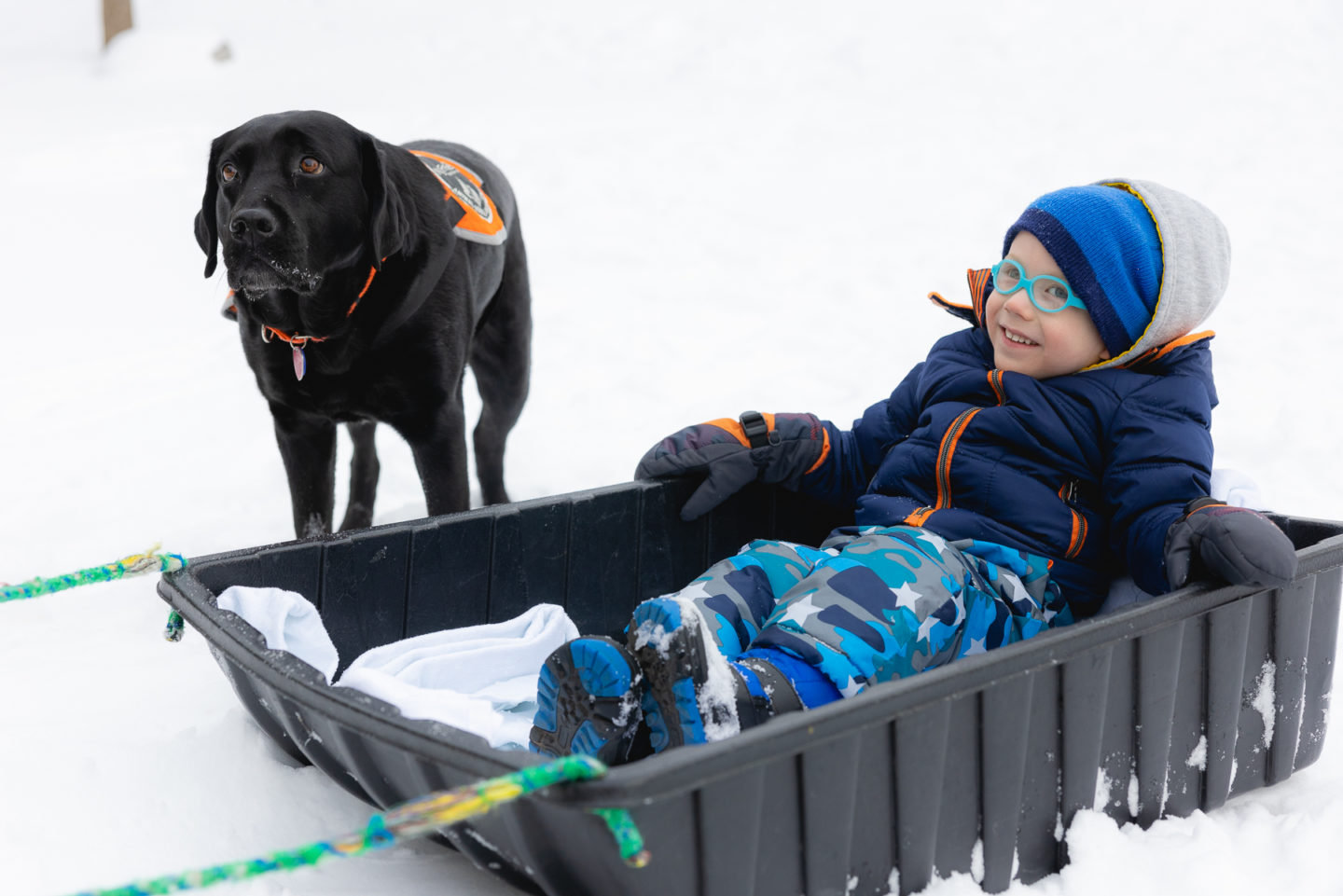 Sledding with Vandy