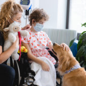 Therapy Dog at Mary Free Bed