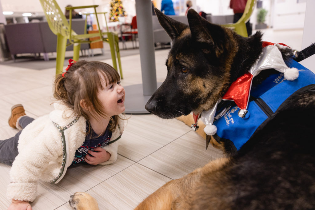 Mary Free Bed invites therapy dogs to its 4th annual Mary and Brite Event.