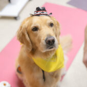 Mary Free Bed staff members celebrate national rehabilitation awareness week.