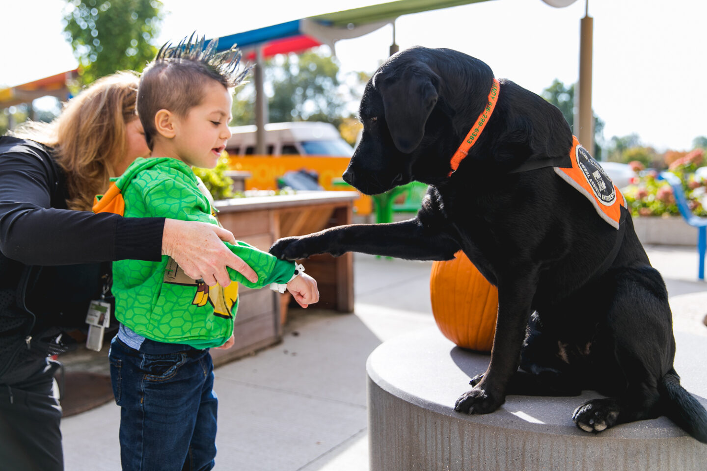 A young boy interacts with a therapy dog during an animal-assisted therapy session in the outdoor garden.