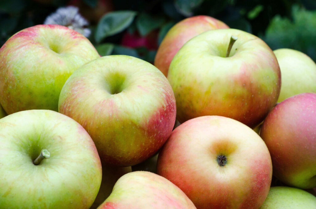 Experts share easy, healthy snack ideas for fall 21 Healthy Fast Fall Snack Ideas Apples 4