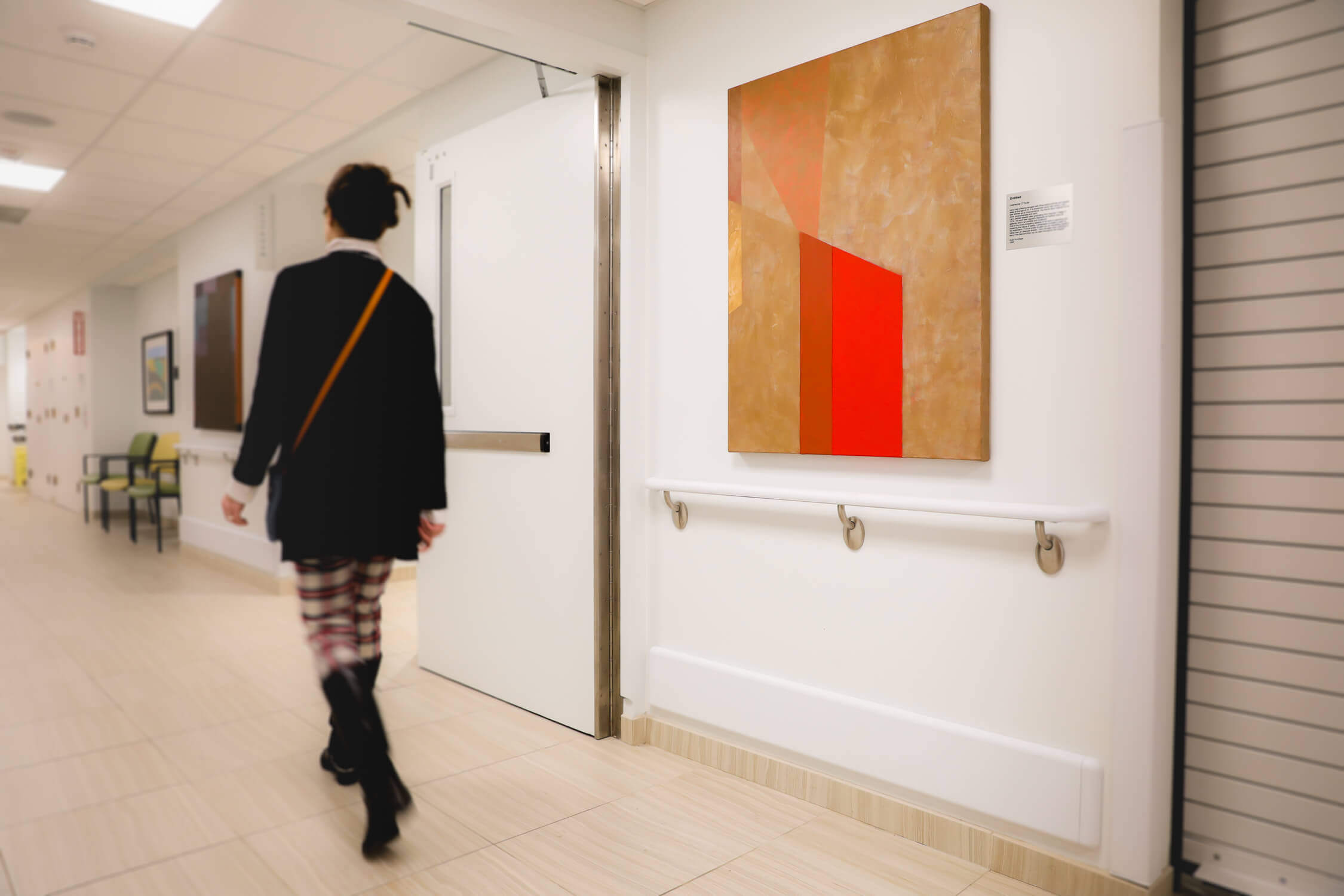 Larry OToole Artwork Donated to Mary Free Bed Hallway image