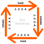box breathing - Yoga and Meditation