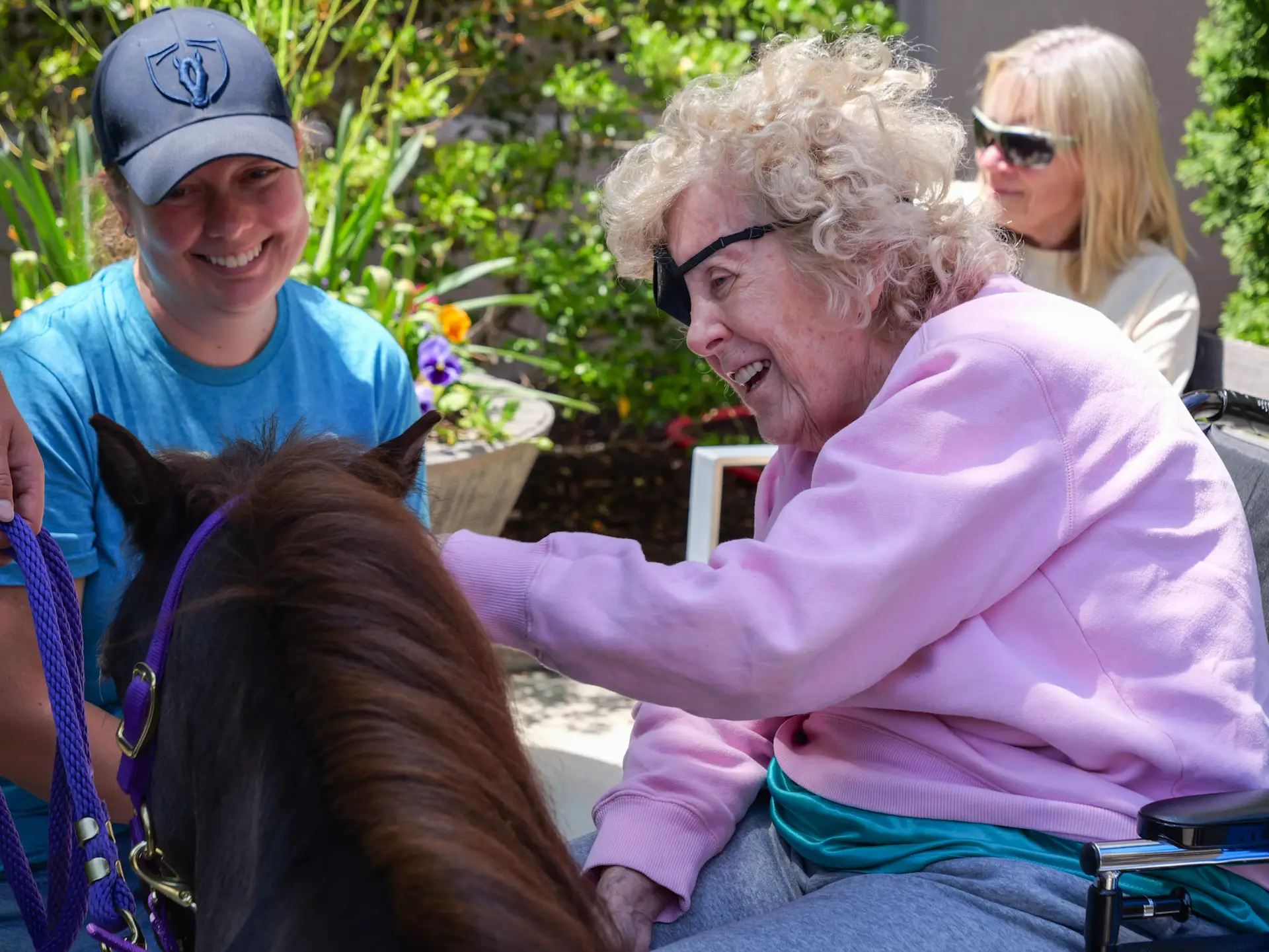 A SAR patient interacting with a miniature horse.