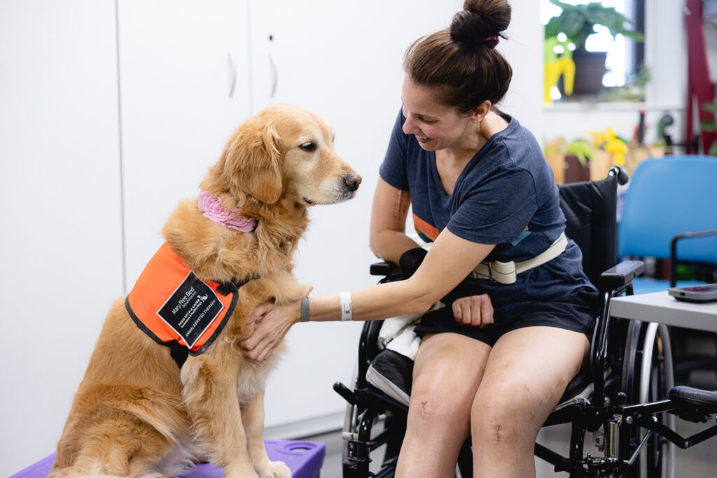 Animal Assisted Intervention Therapy at Mary Free Bed Rehabilitation Hospital