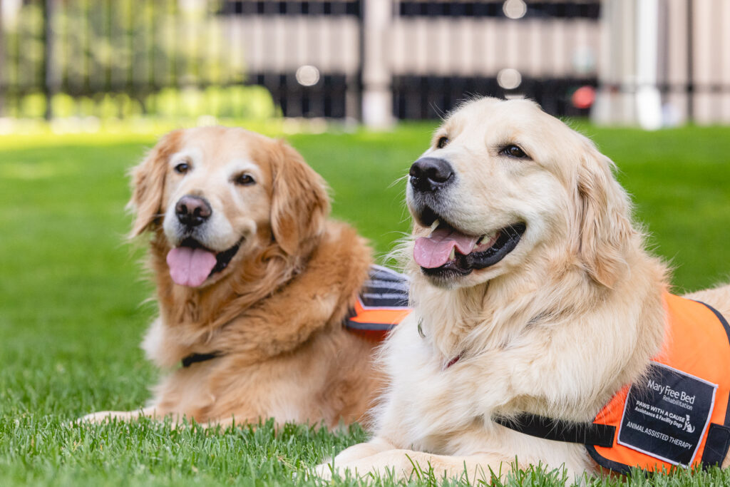 winton and faith therapy dogs